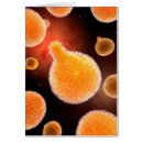 Suche nach parasiten postkarten Infektion