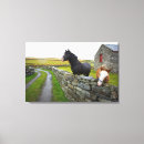 Suche nach ländlich leinwandbilder Tier