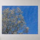 Suche nach fluff poster Natur