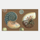 Suche nach muschel aufkleber Verzieren