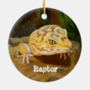 Suche nach herpes ornamente Reptil