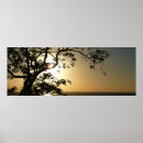 Suche nach heilige lucia poster Tropisch