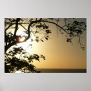 Suche nach heiliger baum poster Sonnenuntergang