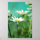 Suche nach flöhe poster Grün