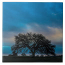 Suche nach baum des lebens fliesen Schön