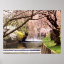 Suche nach kirschblüten poster Blumen