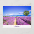 Suche nach provence postkarten Lila