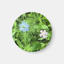 Suche nach naturmagnet Blume
