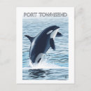 Suche nach washington staat postkarten Orca