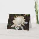 Suche nach fackel karten Blume