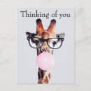 Suche nach babytiere postkarten Giraffe