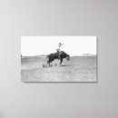Suche nach stier leinwandbilder Cowboy