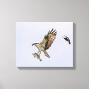 Suche nach jagt poster Natur