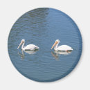 Suche nach zwei vögel magnete Paare
