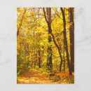 Suche nach schöne landschaft postkarten Wald