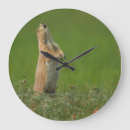 Suche nach gordon wanduhren Cathy