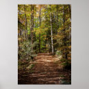 Suche nach eule im baum poster Wald