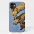 Suche nach kamel iphone hüllen Ägypten