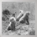 Suche nach kneipen poster Tiere