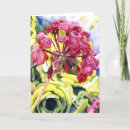 Suche nach pelargonie karten Rosa