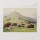 Suche nach native american postkarten 19th