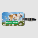 Suche nach stierhund accessoires Niedlich
