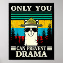 Suche nach lama poster Drama