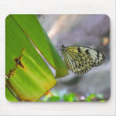 Suche nach nymphe mousepads Schmetterling