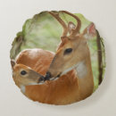 Suche nach bambi kissen Verblassen