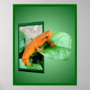 Suche nach salamander kunst poster Orange