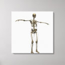 Suche nach dornen leinwandbilder Grafik