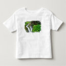 Suche nach dueces tshirts Regenwald