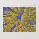 Suche nach verlassen postkarten Muster