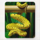 Suche nach snakes mousepads Natur