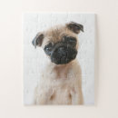Suche nach pug puzzle Dog