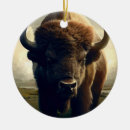 Suche nach bison ornamente Natur