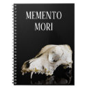 Suche nach anatomie kleine notizbücher Knochen