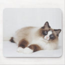 Suche nach katzenartig mousepads Natur