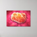 Suche nach biochemie leinwandbilder Nah up