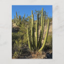 Suche nach fine art postkarten Landschaft