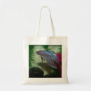 Suche nach betta splendens Aquarium