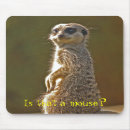 Suche nach meerkats mousepads Lustig