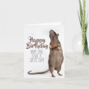 Suche nach rat karten Niedlich