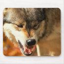 Suche nach ärger mousepads Angriff