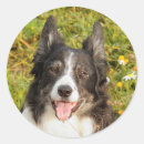 Suche nach border aufkleber Grün