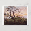 Suche nach toter vogel postkarten Vögel