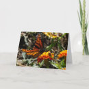 Suche nach monarch karten Orange