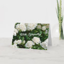 Suche nach die mit blumen ist aus beileidskarten Rose