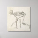 Suche nach skeletts poster leinwandbilder Ansicht