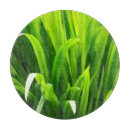 Suche nach grünes gras schneidebrettchen Abstrakt